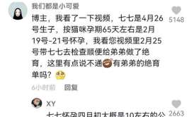 抖音吃瓜娱乐博主有哪些,揭秘热门话题背后的幕后故事