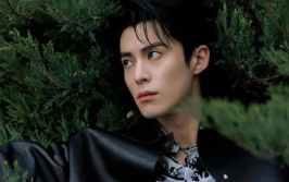 娱乐吃瓜爆料王鹤棣,娱乐圈新晋“吃瓜王”的崛起之路