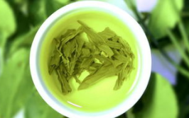 绿茶加盟,品牌选择与创业指南