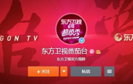 东方卫视电视直播,视听盛宴，精彩纷呈