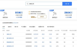 东莞关键词优化排名,提升网站排名，抢占搜索高地