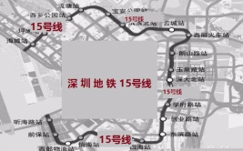 深圳地铁线路图,穿梭鹏城的脉络网络概览