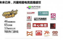 泛娱乐化的例子,泛娱乐化浪潮下的跨界融合与创新案例解析