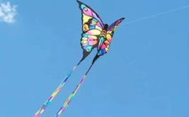 娱乐吃瓜酱风筝,揭秘娱乐圈背后的那些事儿