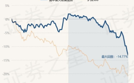 鹏华普天收益,稳健增长，多元化投资的混合型基金解析
