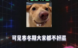 娱乐时间到吃瓜,揭秘娱乐圈那些事儿