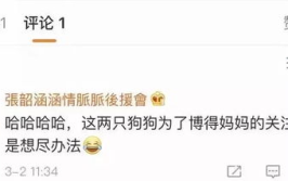 吃瓜娱乐地理,揭秘娱乐圈背后的故事与热点