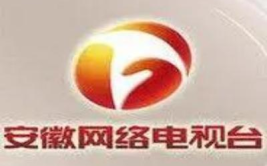安徽卫视网络直播,安徽卫视网络直播的观看途径与特色