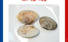 菜谱图片库专家讲解7款常见贝类海鲜教清洗进食宜忌附食谱