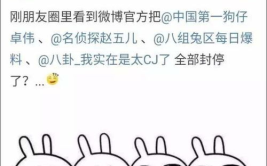 娱乐吃瓜大流量,揭秘吃瓜大流量背后的故事