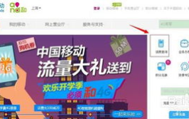 中国移动话费查询网,全方位指南，轻松掌握话费详情”
