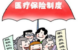 医疗保险条例,参保者权益保障与医疗保障体系全解析