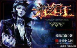 永夜君王 小说,黑暗世界中的光明之旅