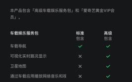 特斯拉娱乐包导航,畅享智能出行新体验