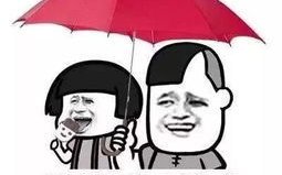 娱乐吃瓜酱还伞,揭秘明星遮阳伞背后的时尚风云