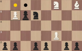 国际象棋大师11下载,揭秘棋艺巅峰的奥秘与策略