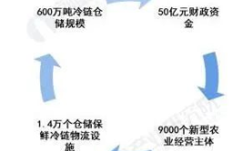 农产品冷链物流发展规划,保障农产品安全与品质——农产品冷链物流发展规划深度解析